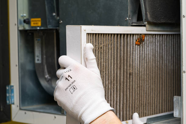 Best Commercial Air Duct Cleaning  in Sun Village, CA